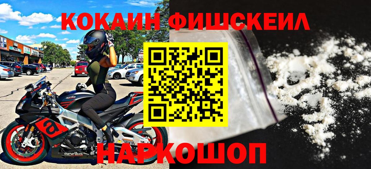 COCAIN  Вход с VPN  Пятигорск  COCAIN Fish Scale 