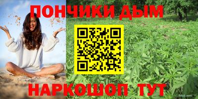 spice Баксан