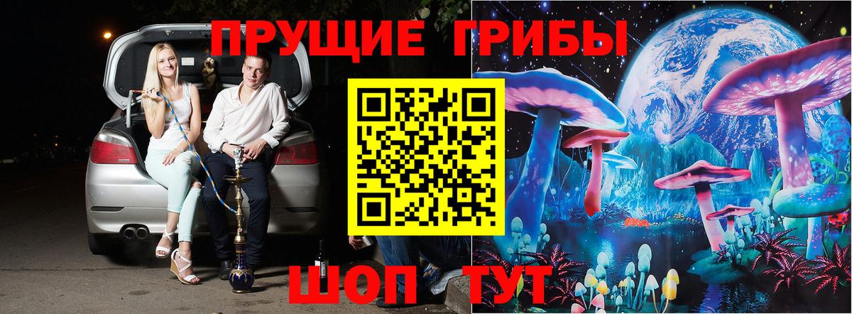 Галлюциногенные грибы прущие грибы Пятигорск
