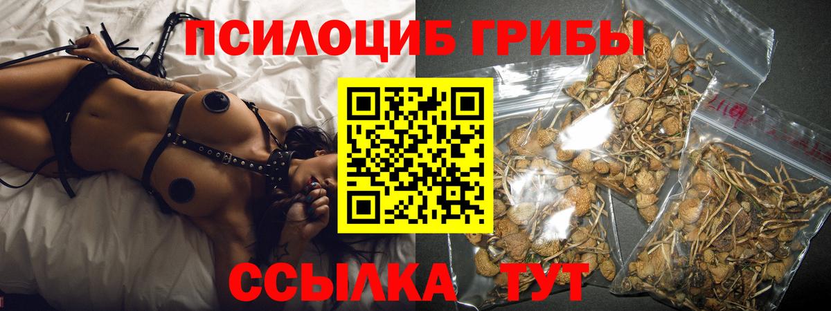 Пятигорск  Псилоцибиновые грибы GOLDEN TEACHER  Вход с VPN 