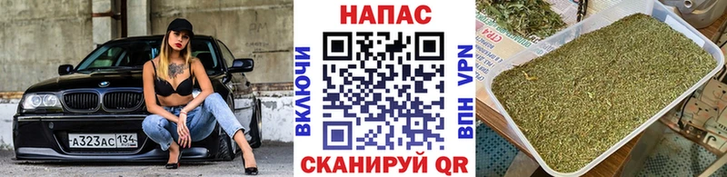Конопля SATIVA & INDICA  Пятигорск 